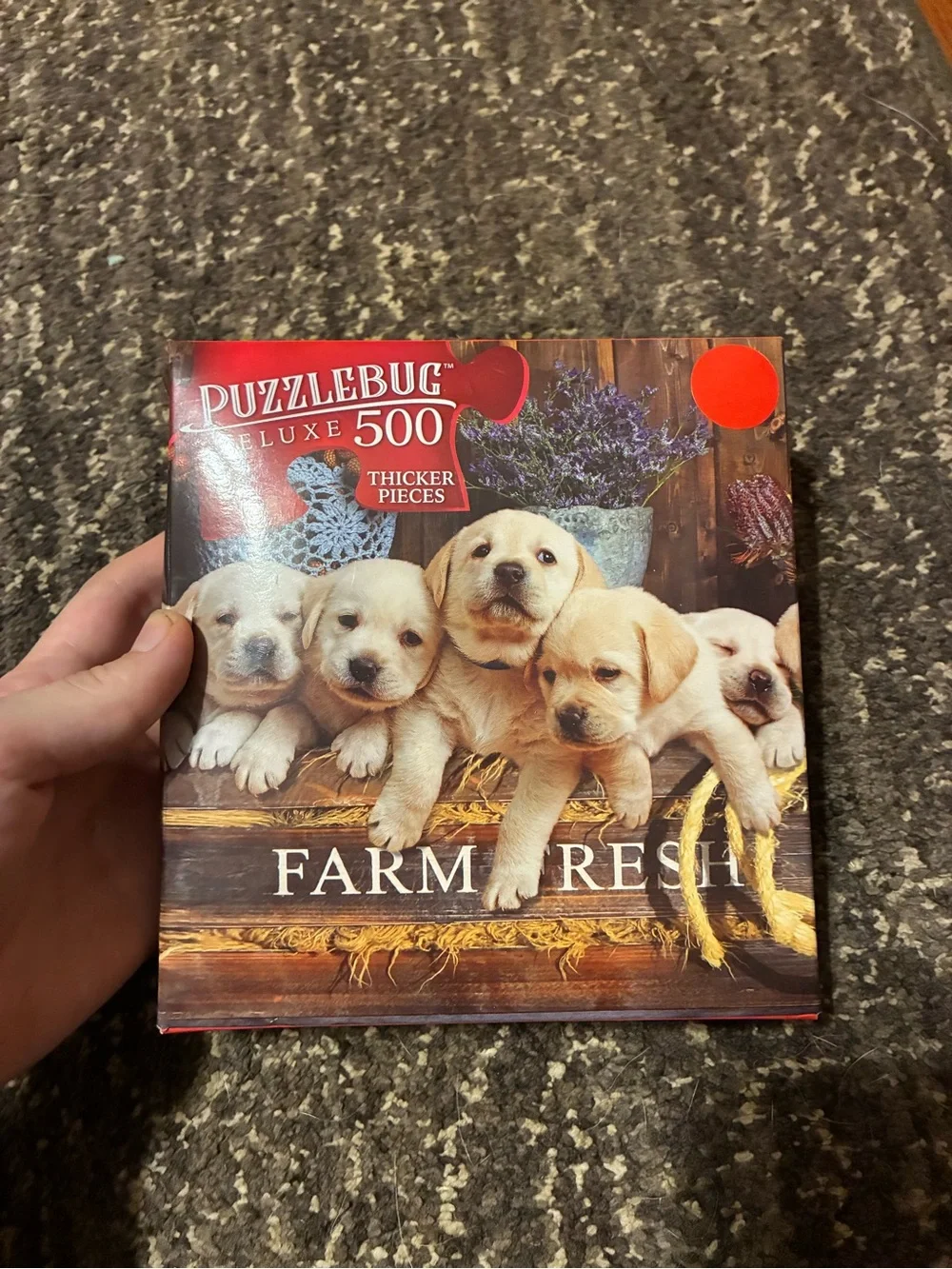 Deluxe 500-Piece Jigsaw Puzzle - Farm Fresh Puppies (Red)